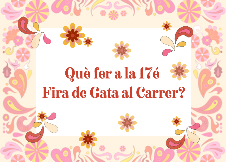 ¿Qué hacer en la 17 Feria de Gata Al Carrer?
