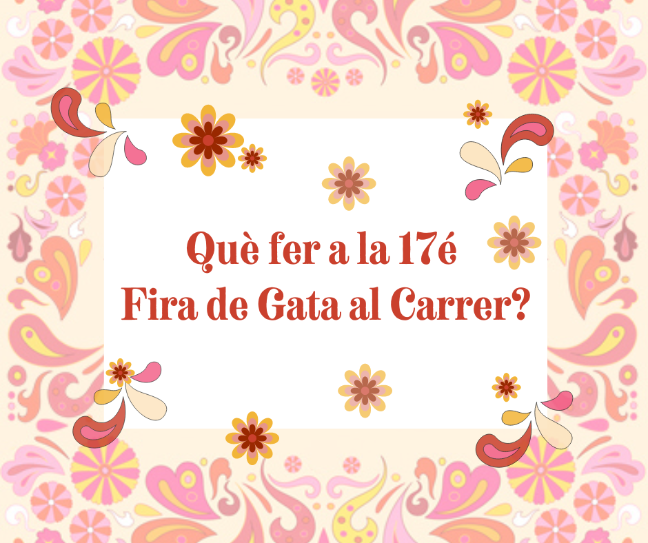 Què fer a la 17é Fira Gata al Carrer?