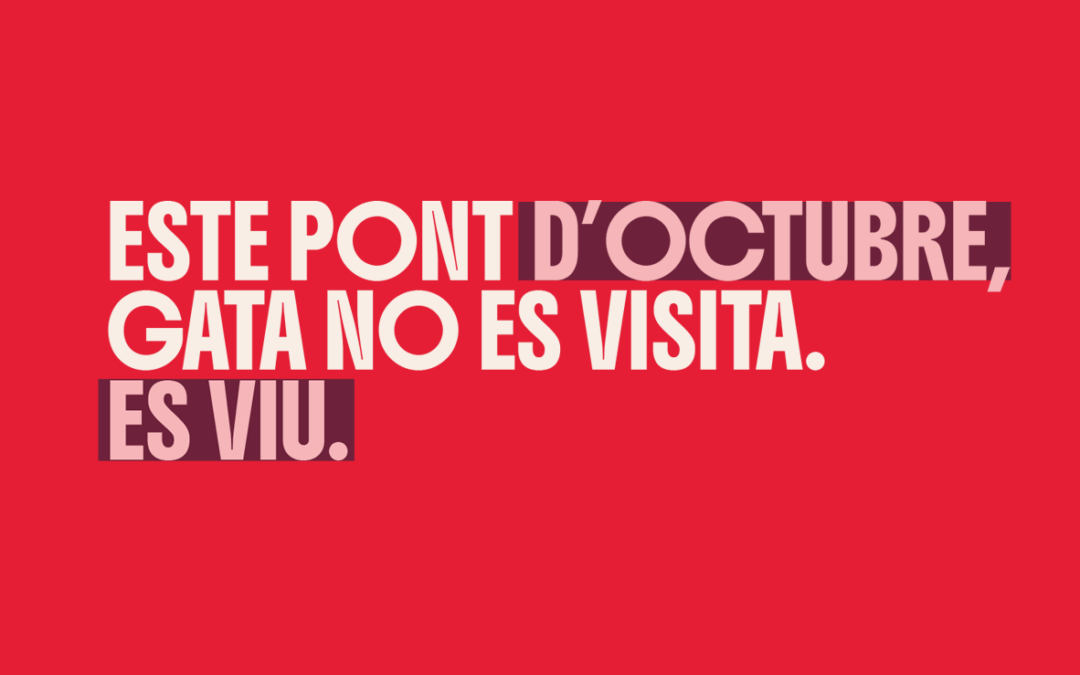 ESTE PONT D’OCTUBRE,GATA NO ES VISITA.ES VIU.
