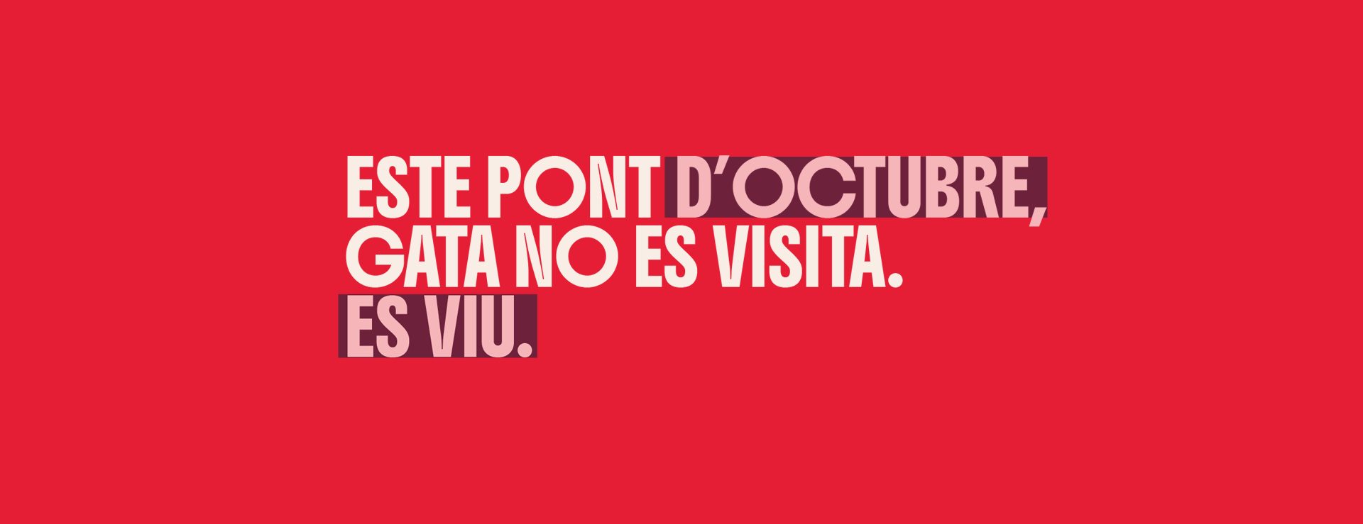 ESTE PONT D’OCTUBRE,GATA NO ES VISITA.ES VIU.